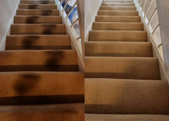 carpet-cleaning-paisley